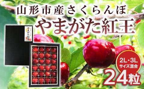 山形市産 さくらんぼ 【やまがた紅王】 2L/3Lサイズ混合 24粒