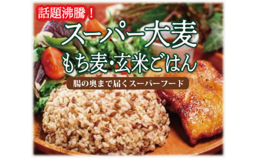 スーパー大麦 もち麦・つや姫 玄米ごはん 150g×12個入 FZ21-065