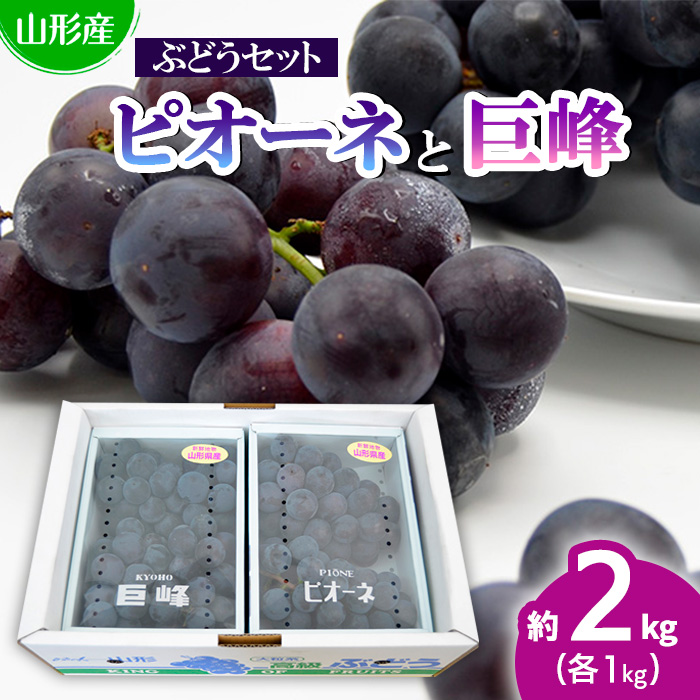 山形のぶどうセット 秀品 約2kg(ピオーネ1kg2房前後・巨峰1kg2