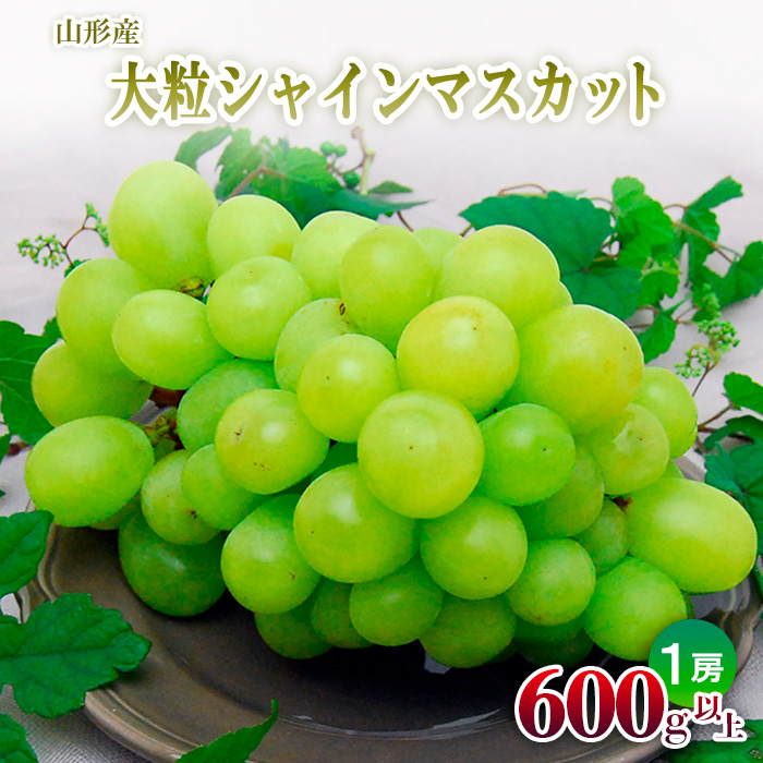山形の大粒シャインマスカット 1房(600g以上)【令和8年産先