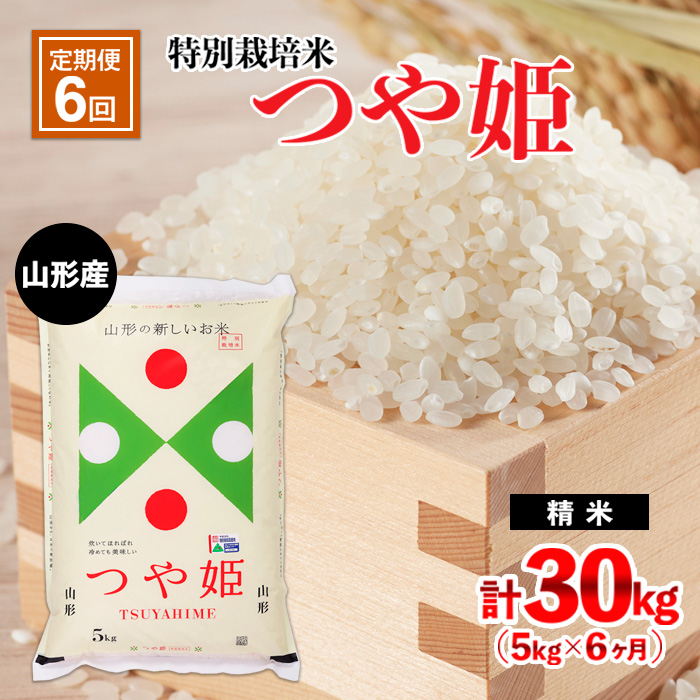 【定期便6回】山形産 特別栽培米 つや姫 5kg×6ヶ月(計30kg) FY2