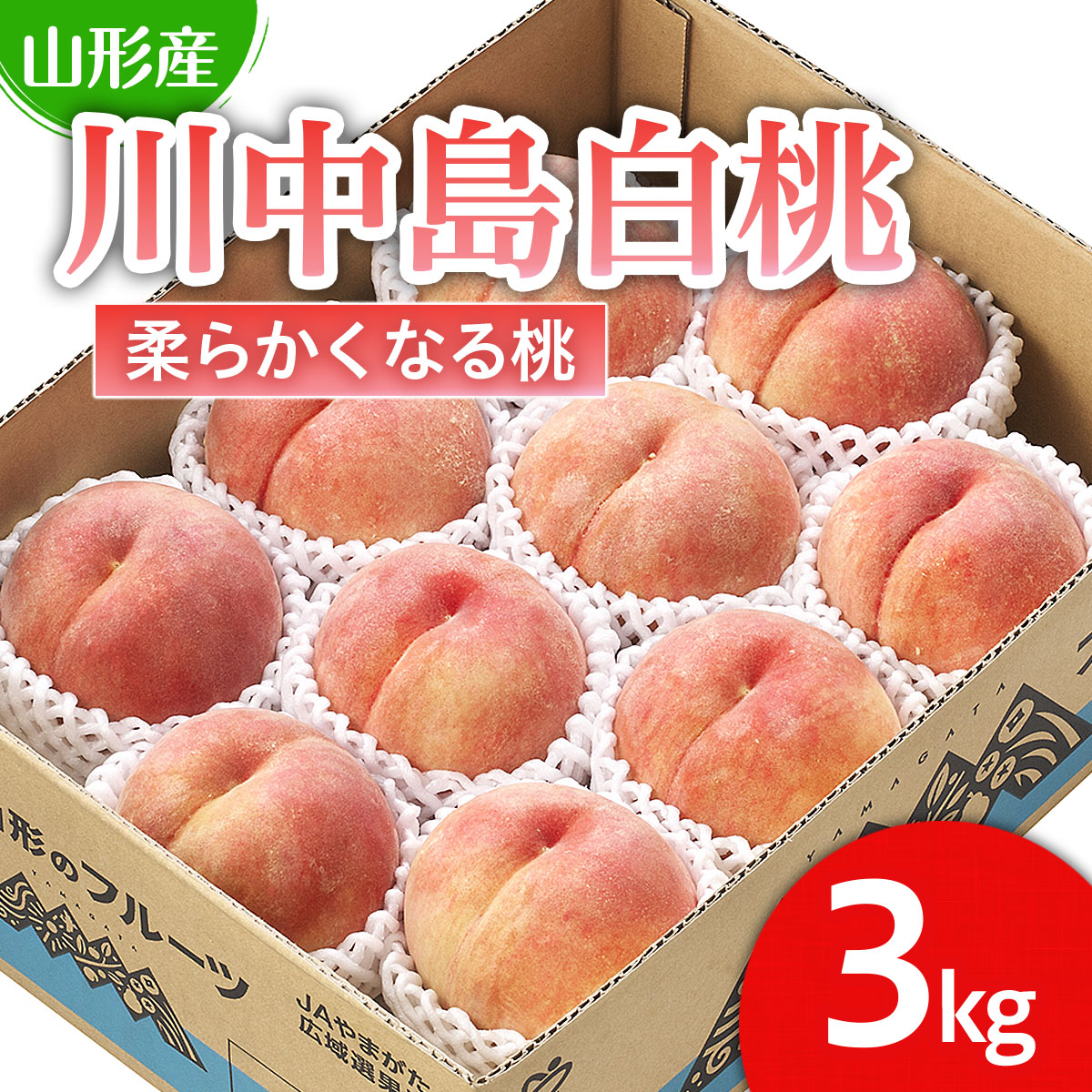 山形市産 桃「川中島白桃」 秀以上 3kg(8玉～11玉)[柔らかく