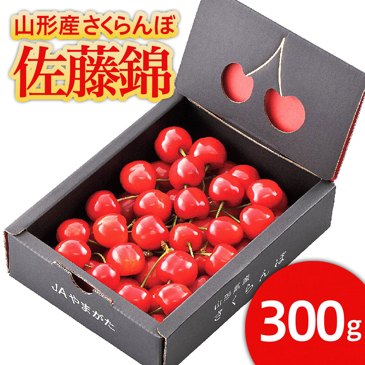 ★温室栽培★山形市産 さくらんぼ 「佐藤錦」 L以上 300gバ