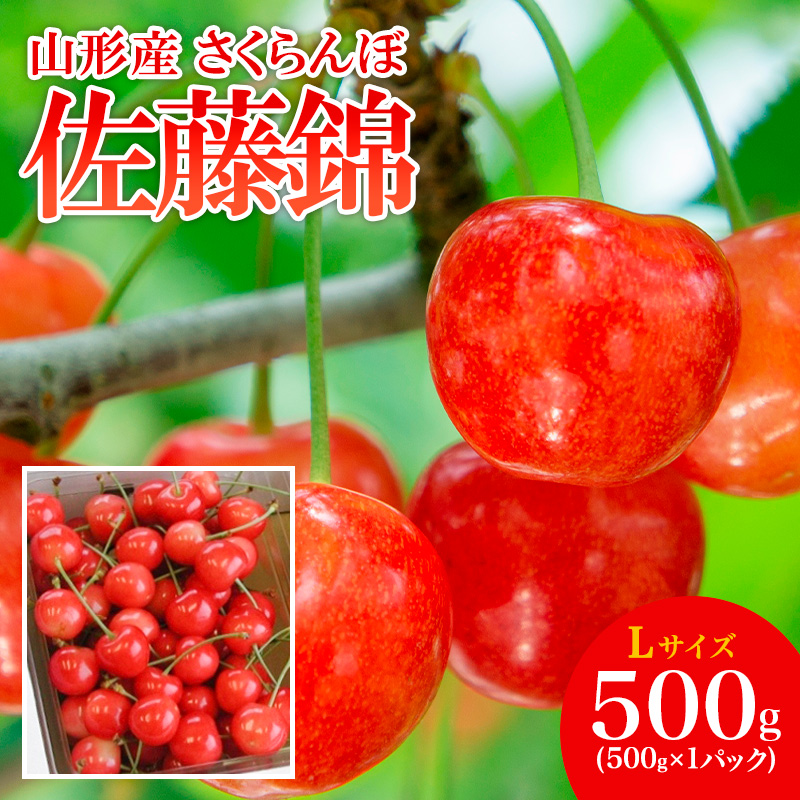 山形産 さくらんぼ 佐藤錦 L 500g 【令和8年産先行予約】FS25-5