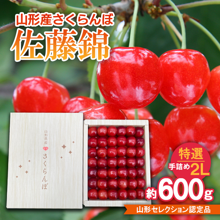 さくらんぼ 佐藤錦 特選 手詰め 2L 約600g 山形セレクション