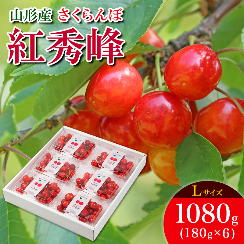 さくらんぼ 紅秀峰 L 1080g(180g×6) 【令和8年産先行予約】FS25-5