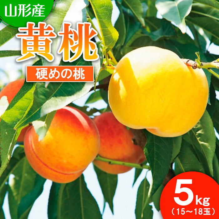 山形市産 もも(黄桃)5kg(15～18玉)[硬めの桃] 【令和8年産先行