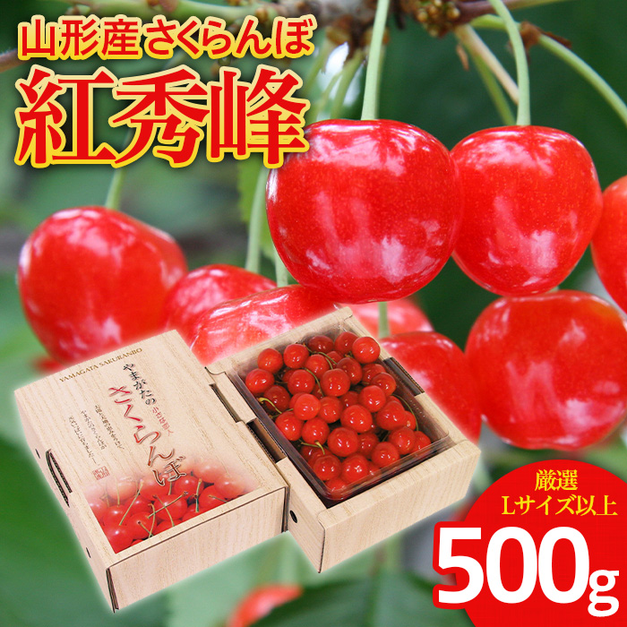 さくらんぼ 紅秀峰 厳選 L以上 500g入り1箱 【令和8年産先行