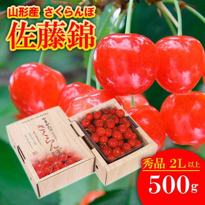 さくらんぼ 佐藤錦  ”希少な大粒” 厳選 2Lサイズ以上 500g