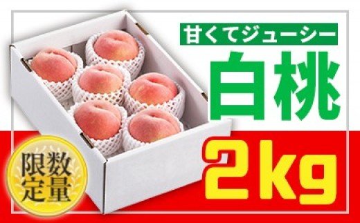 ★フルーツ王国山形★白桃秀品2kg[かため系品種] 【令和8年