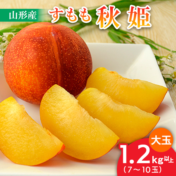 山形のすもも[秋姫]大玉 1.2kg以上(7～10玉)【令和8年産先行予