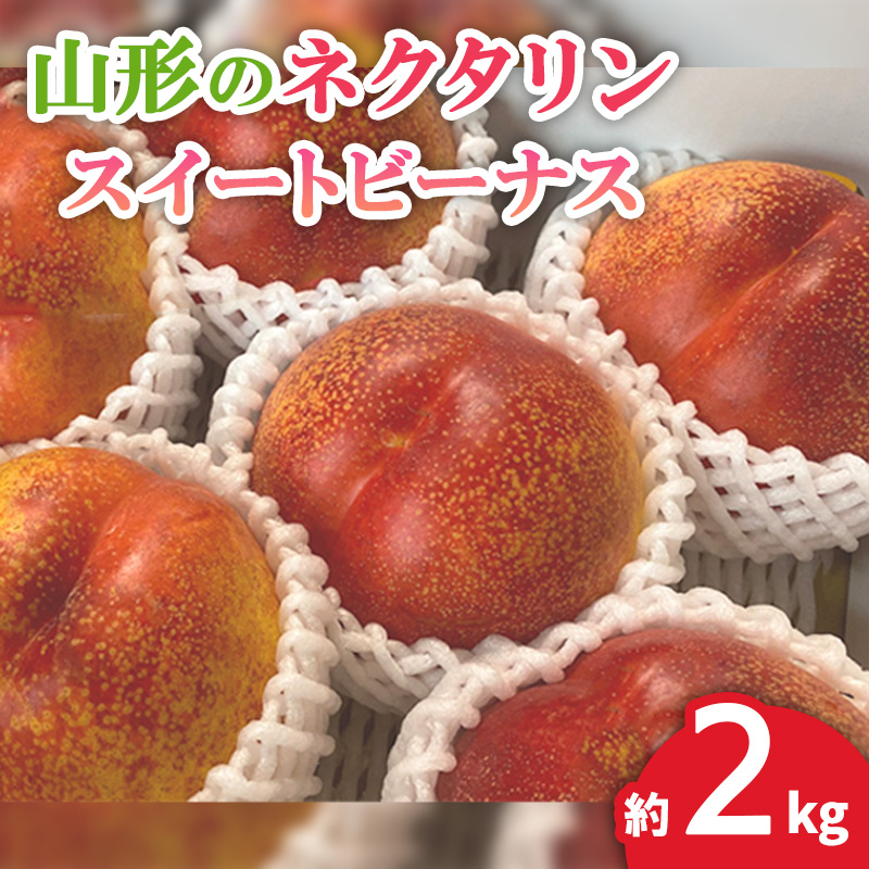 山形のネクタリン(スイートビーナス)約2kg 【令和8年産先行