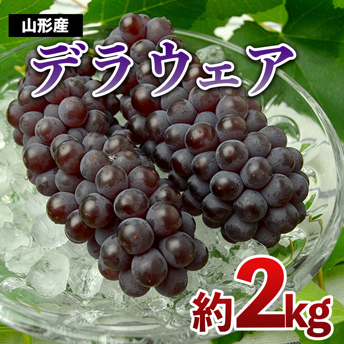 山形のぶどう デラウエア 約2kg(L～3L/10～16房)【令和8年産先
