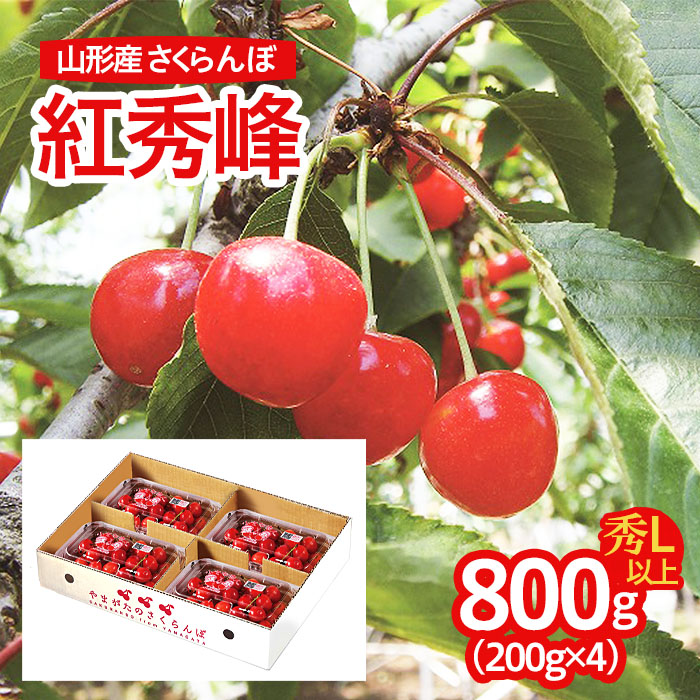 山形産 さくらんぼ(紅秀峰) L以上 800g(200g×4パック) 【令和7