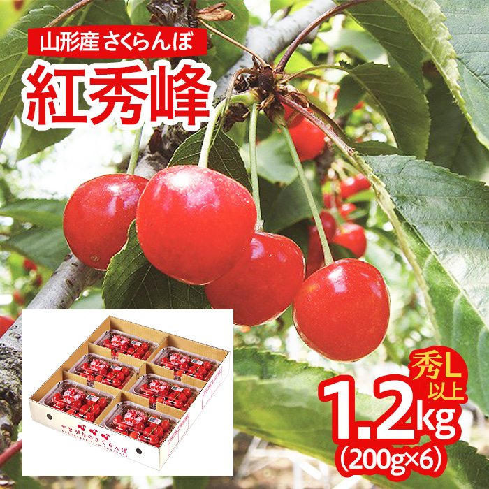 山形産 さくらんぼ(紅秀峰) L以上 1.2kg(200g×6パック) 【令和7