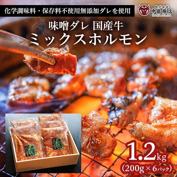 味噌ダレ 国産牛 ミックスホルモン 1.2kg(200g×6パック） FZ22-0