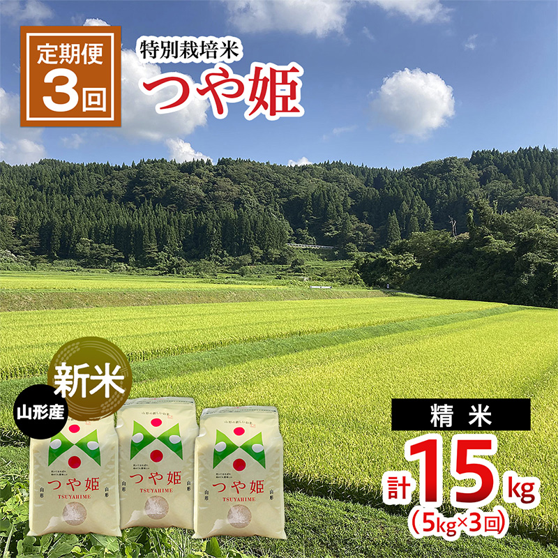 【令和7年産新米】 【定期便3回】新米☆特別栽培米 つや姫(