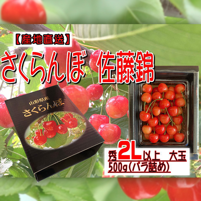 [産地直送] 大玉さくらんぼ 佐藤錦 2L以上 大玉 500g(バラ詰め