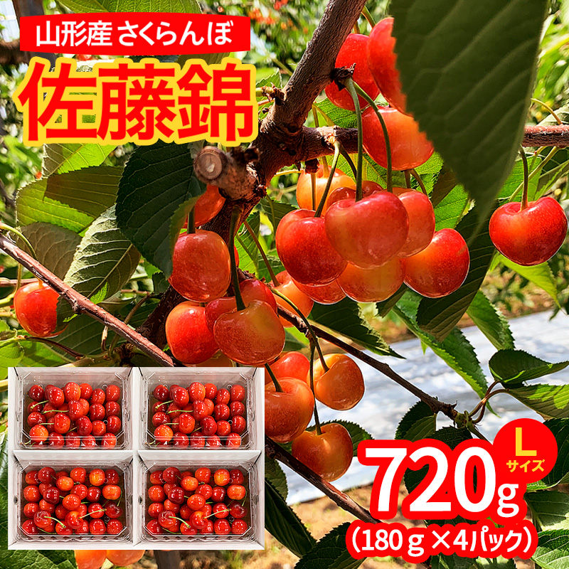 山形市産 さくらんぼ 佐藤錦 L以上 720g(180g×4パック) 【令和8