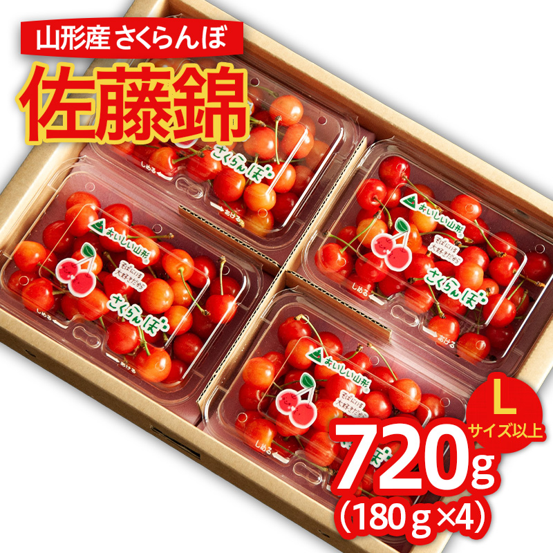 山形のさくらんぼ 佐藤錦 Lサイズ以上 720g (180g×4パック) 【