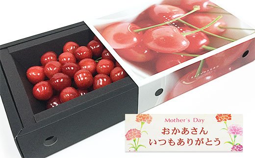 ★5月まるごと母の日★さくらんぼ 佐藤錦 スリーヴ Lサイズ