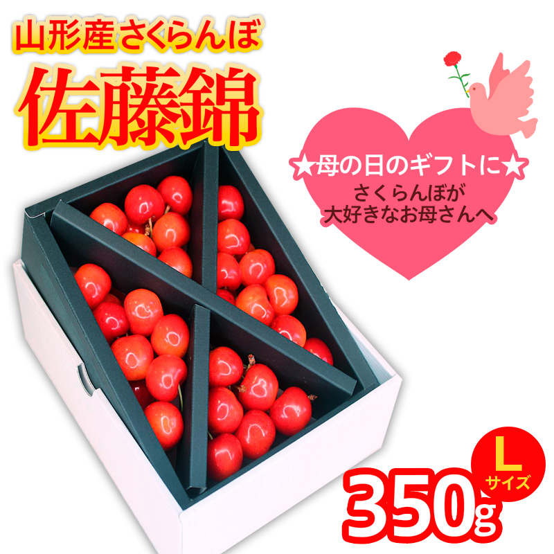 ★５月まるごと母の日★さくらんぼ 佐藤錦 Lサイズ 350g (5/15