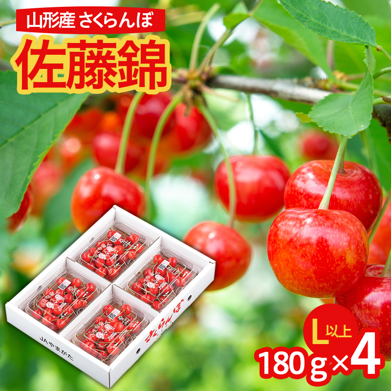 山形市産 さくらんぼ 佐藤錦 L以上 720g(180g×4パック) バラ詰