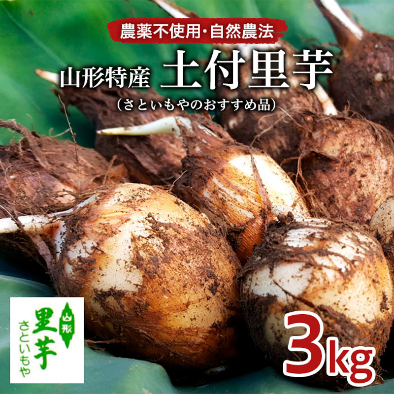 農薬不使用 自然農法 山形特産 土付里芋 3kg!(さといもやの