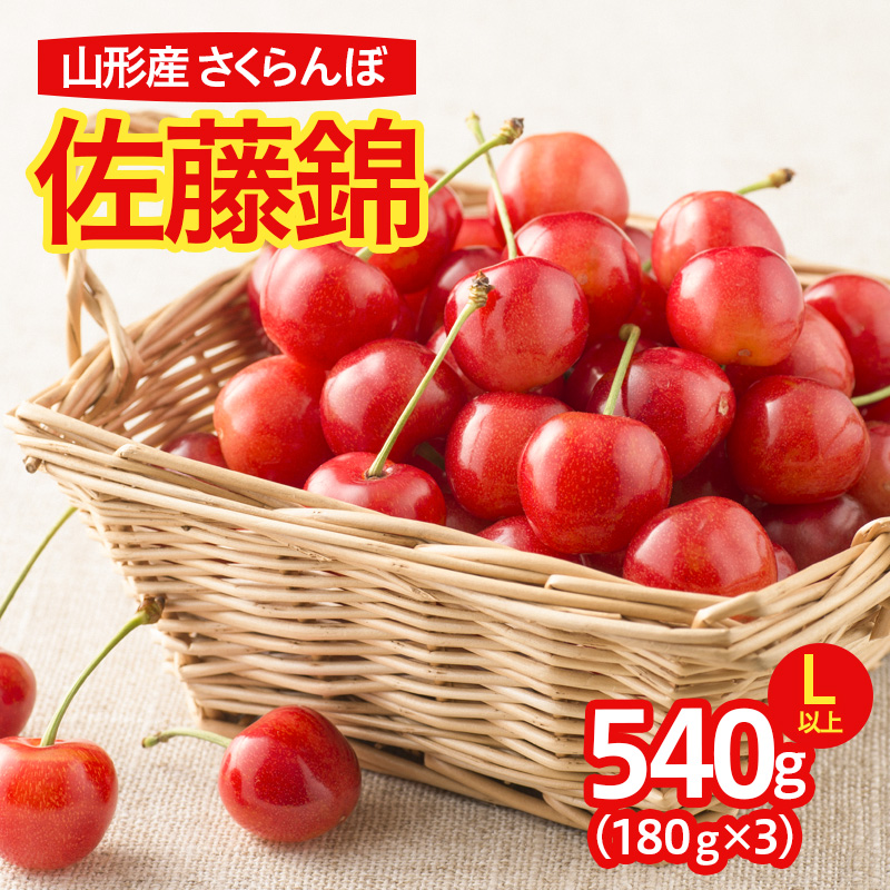  さくらんぼ 佐藤錦 540g(180g×3パック)L以上 フードパック 【