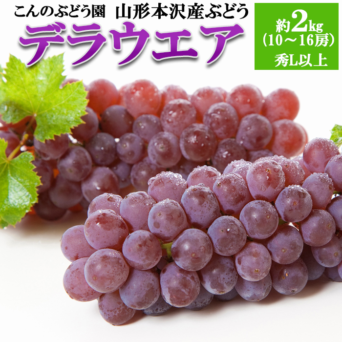 【こんのぶどう園】山形本沢産 ぶどう デラウェア 秀L以上 