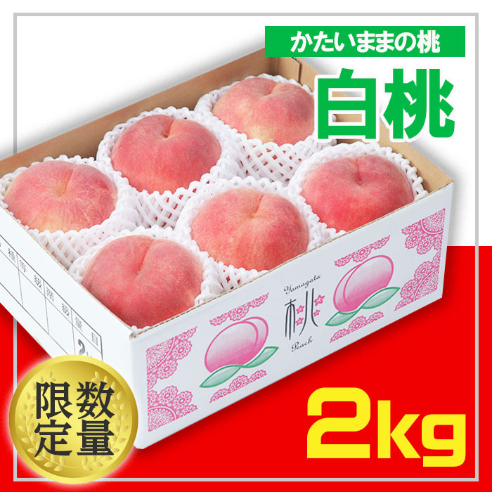 ☆フルーツ王国山形☆白桃 秀品 2kg(かたいままの桃) 【令和