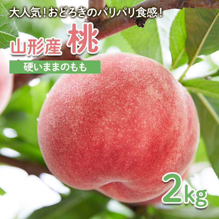 【硬い桃好きの方へ】大人気！おどろきのパリパリ食感！