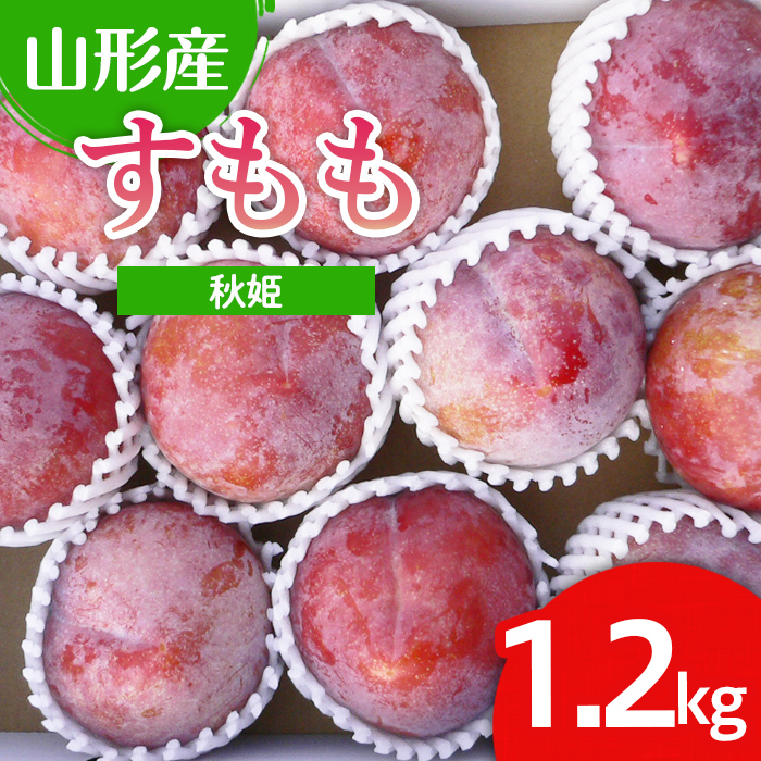 山形市産 すもも(秋姫) 1.2kg(7～12玉）【令和8年産先行予約】