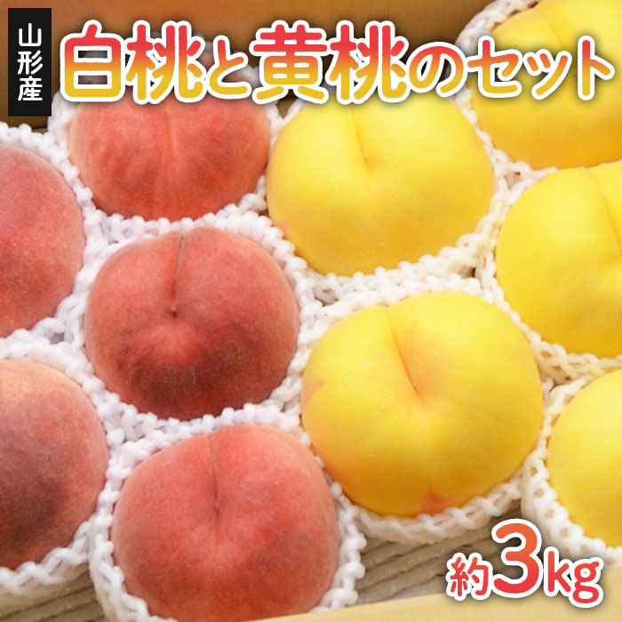 山形の白桃と黄桃のセット 約3kg(6～13玉)[柔らかくなる品種