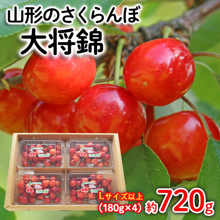 山形のさくらんぼ 大将錦 Lサイズ以上 720g(180g×4) 【令和8年