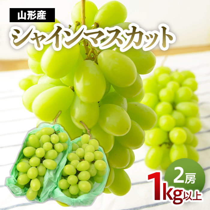 山形のぶどう シャインマスカット 1kg以上(2房)[10月中旬～11