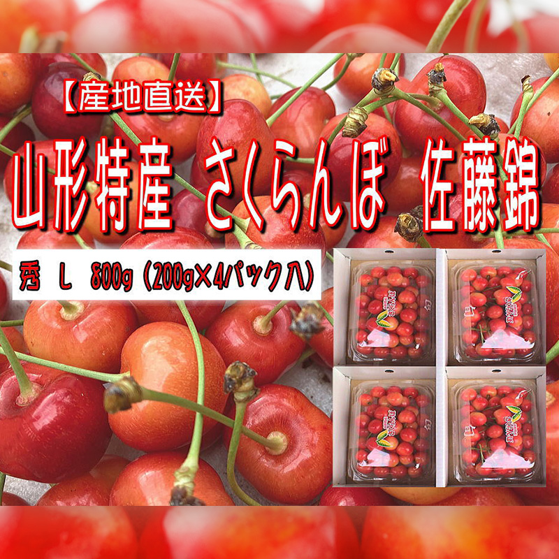 山形特産 さくらんぼ 佐藤錦 L 800g(200g×4パック入)【令和8年
