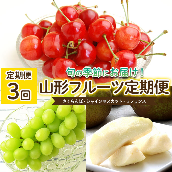 【定期便3回】山形のフルーツ定期便(さくらんぼ・シャイン