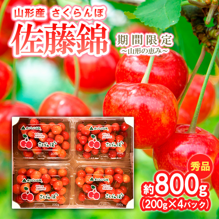 さくらんぼ【佐藤錦】約800g (200g×4パック) 期間限定～山形