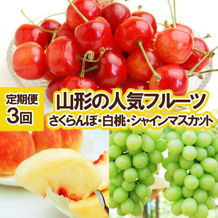 ★定期便3回★山形の人気フルーツ(さくらんぼ・白桃・シャ