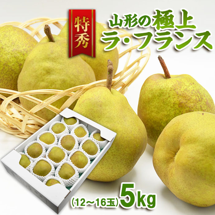 【特秀】山形の極上 ラフランス 特秀品 約5kg(12～16玉)[11月