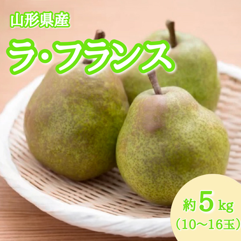 山形産 ラ・フランス 秀品 約5kg(10～16玉)【令和8年産先行予