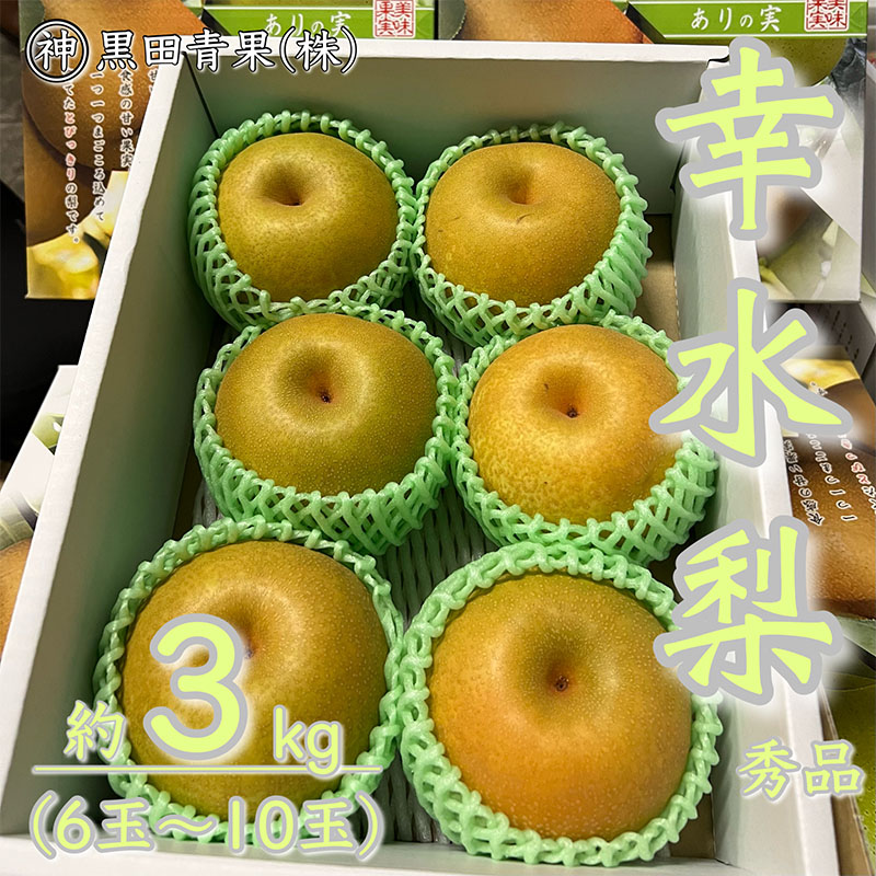山形県産 幸水 梨 秀品 約3kg(6～10玉) 【令和8年産先行予約】