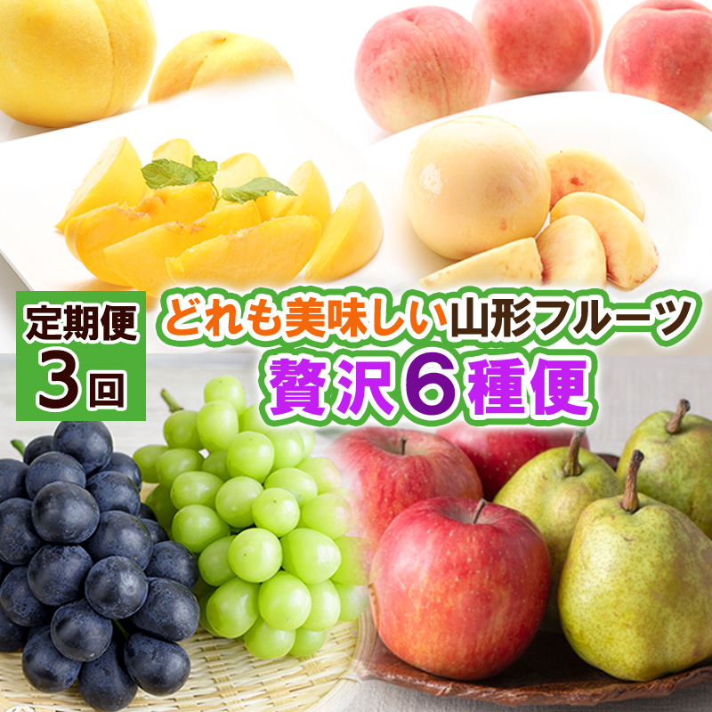 【定期便3回】どれも美味しい山形フルーツ贅沢６種便【令