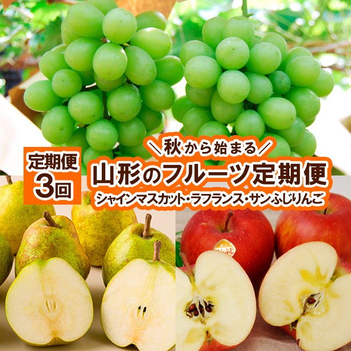 【秋から始まる定期便3回】山形のフルーツ定期便(シャイン