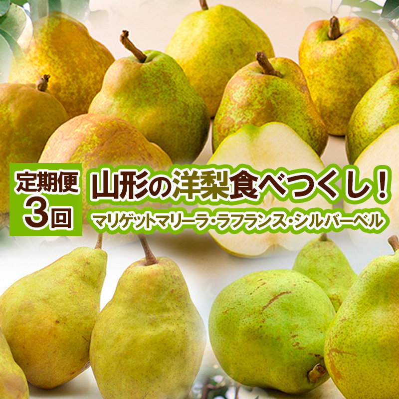 ★定期便3回★山形の洋梨食べつくし！(マリゲットマリーラ