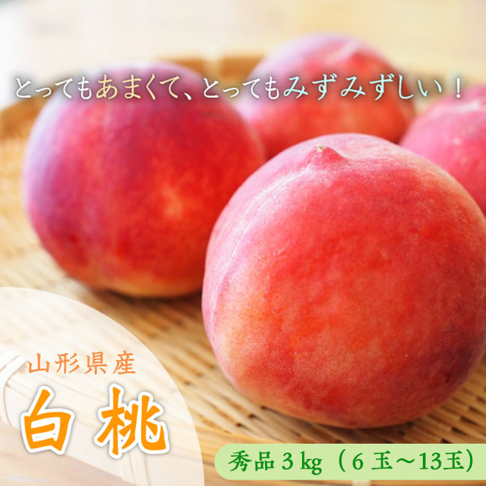 山形市産 白桃 [柔らかくなる桃] 秀品 約3kg (6玉～13玉)【令
