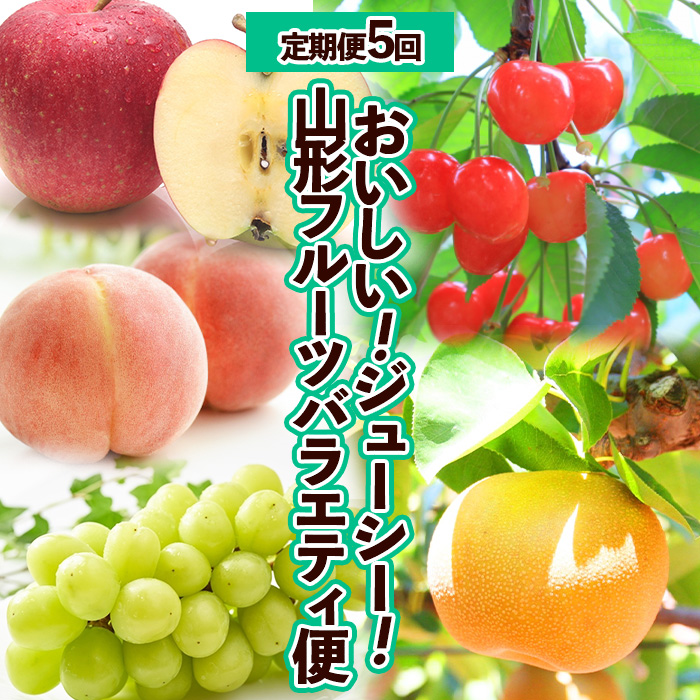 【定期便5回】おいしい！ジューシー！山形フルーツ　バラ