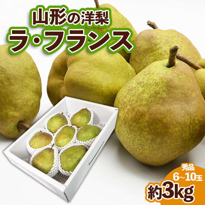 山形の洋梨ラフランス 秀品 約3kg (6～10玉) FZ23-650