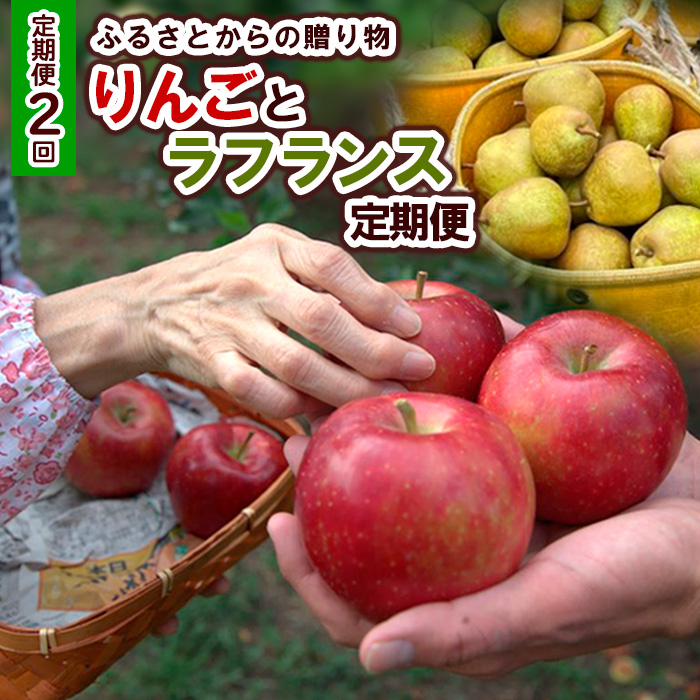 【定期便2回】ふるさとからの贈り物 りんごとラフランス便